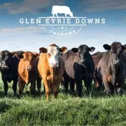 Glen Eyrie Downs